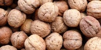 Organic nuts ORGANIC